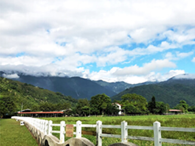 境籟迴嵐民宿花蓮瑞穗景點瑞穗牧場