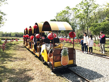 境籟迴嵐民宿花蓮瑞穗景點富興平地森林公園